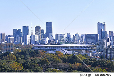 日本の東京都市景観　新生・国立競技場などを望む。11月30日に完成した＝11月30日撮影 60300205