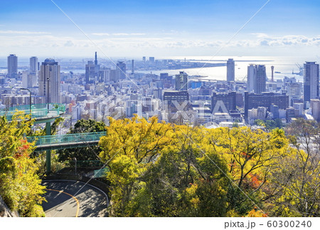 秋色の神戸、兵庫県神戸市中央区諏訪山公園から神戸港・ポートアイランド方面を望む 60300240