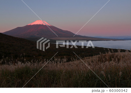 山中湖　富士山　雲海 60300342