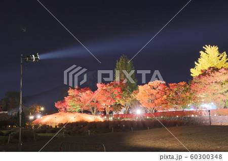 紅葉 富士山 夜景 紅葉 富士山 夜景 60300348