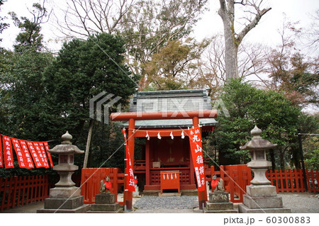 鶴岡八幡宮 丸山稲荷社 Maruyama-inarisya shrine 鶴岡八幡宮 丸山稲荷社 Maruyama-inarisya shrine 60300883
