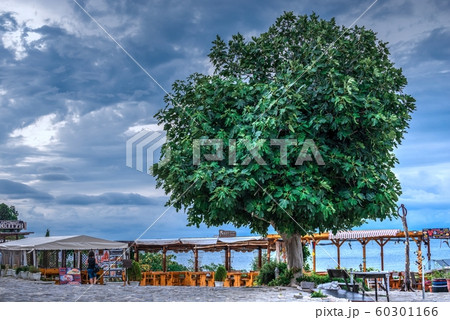 Restaurants by the sea in Nessebar, Bulgaria 60301166