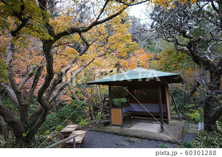 一条恵観山荘 紅葉  Ichijyo-ekan's moutain villa 60301288