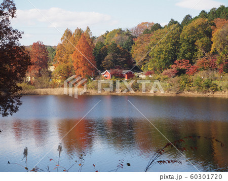 ムーミンバレーパーク 宮沢湖の写真素材