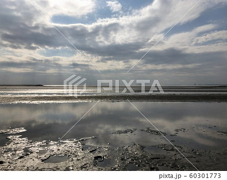 葛西臨海公園　東なぎさ 60301773