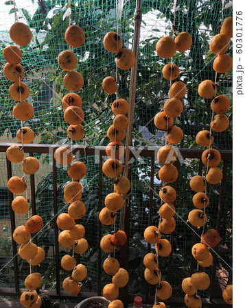 干し柿 干し柿 60301776