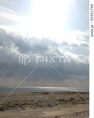 ニシキ浜 60301786