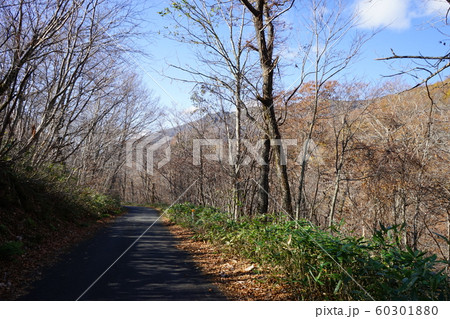 秋の早池峰山 秋の早池峰山 60301880