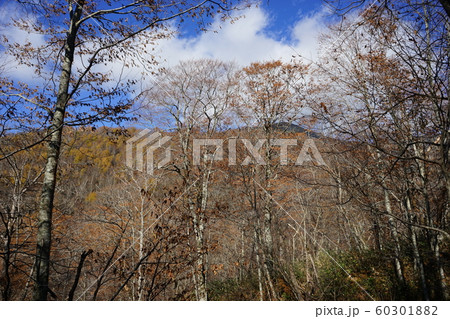 秋の早池峰山 秋の早池峰山 60301882