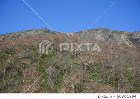 秋の早池峰山 60301894