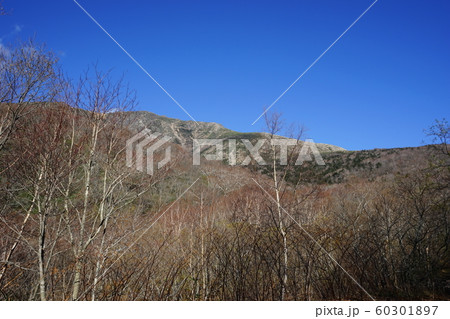秋の早池峰山 60301897