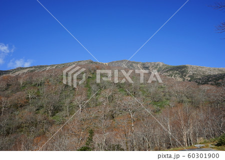 秋の早池峰山 60301900