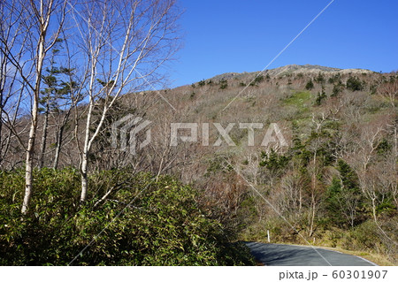 秋の早池峰山 60301907