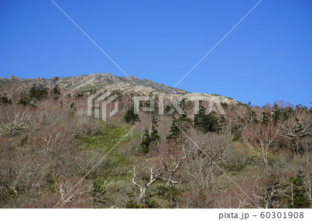 秋の早池峰山 60301908