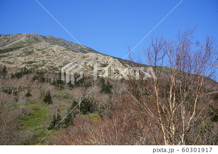 秋の早池峰山 60301917