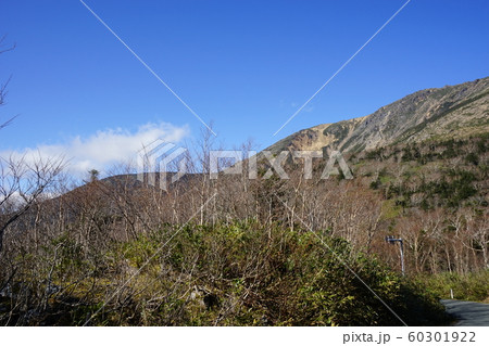 秋の早池峰山 60301922