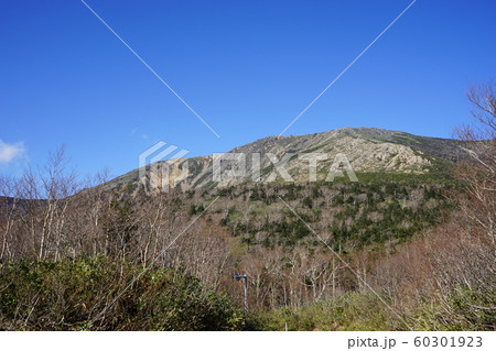 秋の早池峰山 60301923