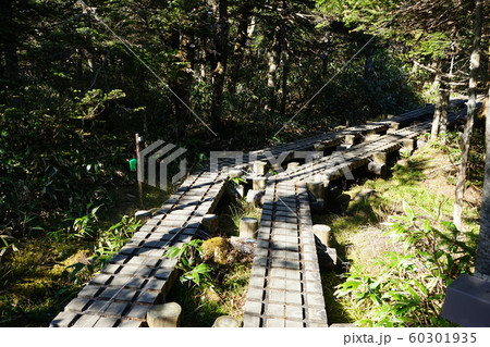 秋の早池峰山 秋の早池峰山 60301935