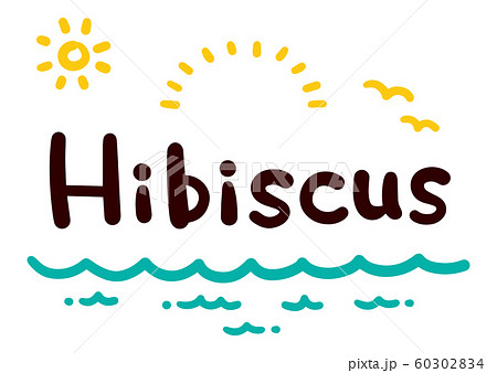 ハイビスカス Hibiscus 文字 ベクター 可愛いのイラスト素材