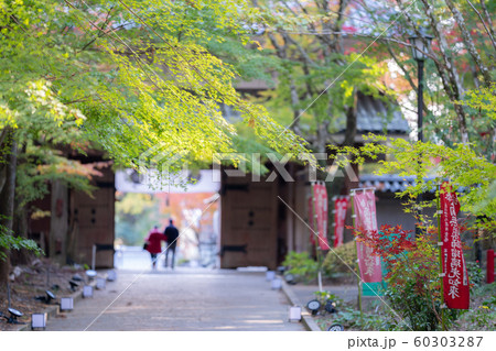 油山寺の紅葉 油山寺の紅葉 60303287