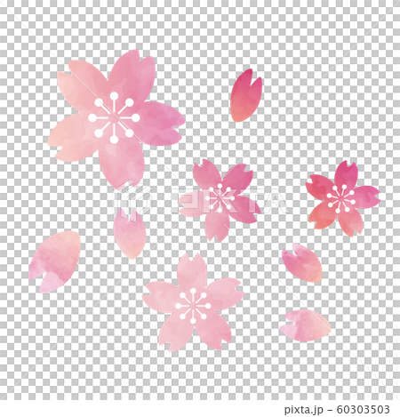Sakura 02 Sakura 02 60303503