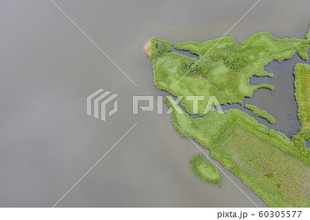 湖 湿地 襄陽郡 60305577