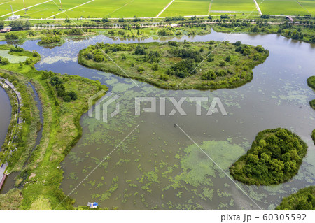 鏡浦湖 江陵市 江原道 60305592