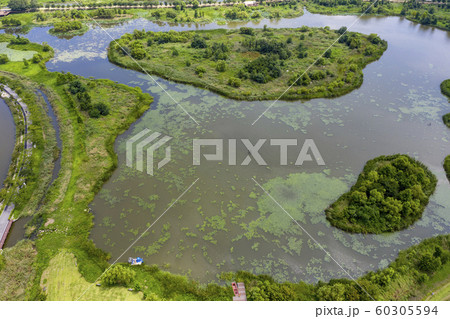 鏡浦湖 江陵市 江原道 60305594