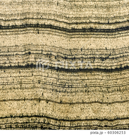 Abstract mineral texture with parallel lines Abstract mineral texture with parallel lines 60306253