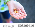 子供の手 60306419