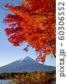 Autumn leaves with Mt Fuji at Lake Kawaguchiko 60306552