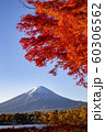 Autumn leaves with Mt Fuji at Lake Kawaguchiko 60306562