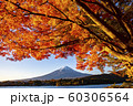 Autumn leaves with Mt Fuji at Lake Kawaguchiko 60306564