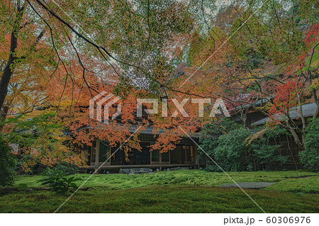京都　瑠璃光院　お寺　寺　寺社仏閣　八瀬　比叡山　叡山電車　広告　写真素材　紅葉　素材 60306976