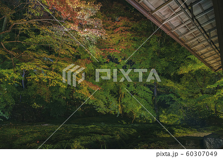 京都　瑠璃光院　お寺　寺　寺社仏閣　八瀬　比叡山　叡山電車　広告　写真素材　紅葉　素材 60307049