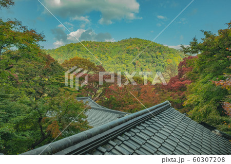 京都、瑠璃光院、お寺、寺、寺社仏閣、八瀬、比叡山、叡山電車、広告、写真素材、紅葉、素材、秋、風景、背 京都、瑠璃光院、お寺、寺、寺社仏閣、八瀬、比叡山、叡山電車、広告、写真素材、紅葉、素材、秋、風景、背 60307208