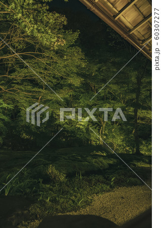 京都、瑠璃光院、お寺、寺、寺社仏閣、八瀬、比叡山、叡山電車、広告、写真素材、紅葉、素材、秋、風景、背 60307277