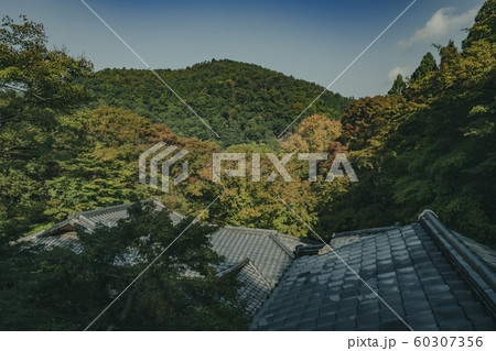 京都 瑠璃光院 お寺 寺 寺社仏閣 八瀬 比叡山 叡山電車 広告 写真素材 紅葉 素材 京都 瑠璃光院 お寺 寺 寺社仏閣 八瀬 比叡山 叡山電車 広告 写真素材 紅葉 素材 60307356