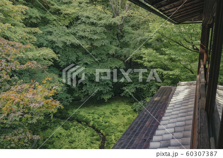 京都 瑠璃光院 お寺 寺 寺社仏閣 八瀬 比叡山 叡山電車 広告 写真素材 紅葉 素材 京都 瑠璃光院 お寺 寺 寺社仏閣 八瀬 比叡山 叡山電車 広告 写真素材 紅葉 素材 60307387