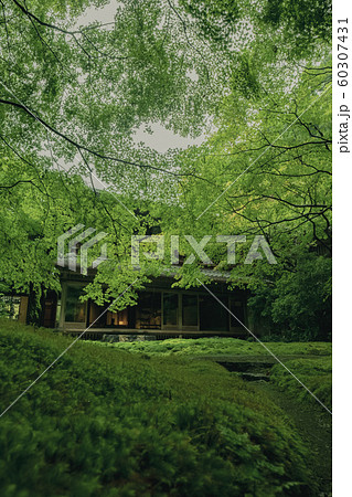 京都　瑠璃光院　お寺　寺　寺社仏閣　八瀬　比叡山　叡山電車　広告　写真素材　紅葉　素材 60307431
