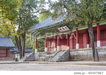 ソウルみかん 成均館 鍾路区 60307967