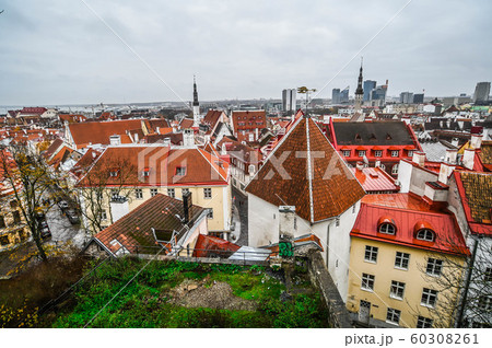 エストニア　タリン観光　トーンペア展望台からの旧市街 60308261