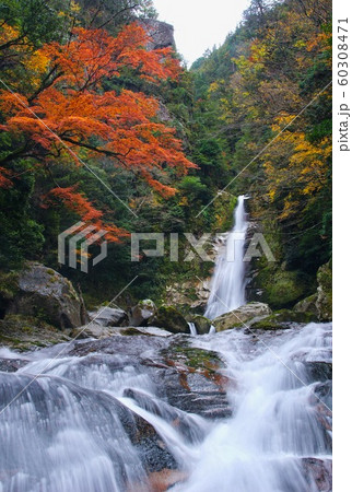 秋の十津川村 笹の滝 奈良県吉野郡十津川村 秋の十津川村 笹の滝 奈良県吉野郡十津川村 60308471
