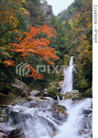 秋の十津川村 笹の滝 奈良県吉野郡十津川村 秋の十津川村 笹の滝 奈良県吉野郡十津川村 60308472