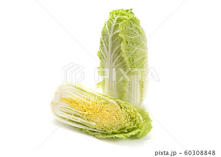 娃々菜 60308848