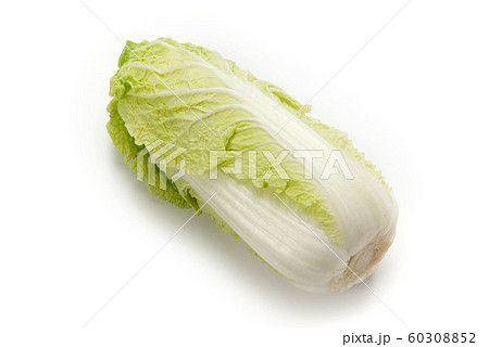 娃々菜 娃々菜 60308852
