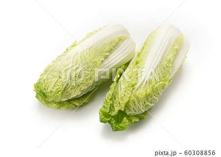 娃々菜 娃々菜 60308856