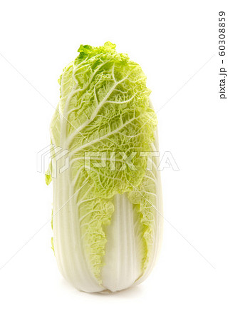 娃々菜 60308859