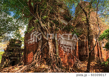カンボジア・コーケー遺跡群の風景 15 60309017