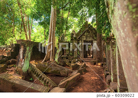 カンボジア・コーケー遺跡群の風景 10 60309022